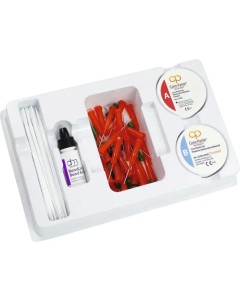 Core Paste Enamel Dosen 2x25g SC