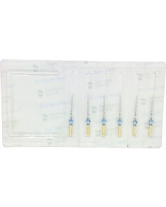 PROTAPER NEXT Feile X3 21mm Pa 6