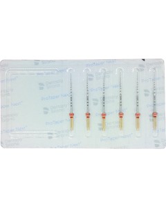 PROTAPER NEXT Feile X2 31mm Pa 6