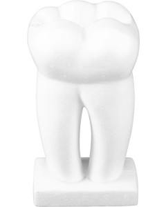 Styropor-Zahn-Modell weiß 20cm St