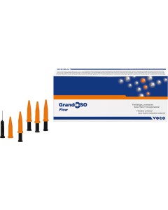 GrandioSO Flow B2 Spritze Pa 2x2g