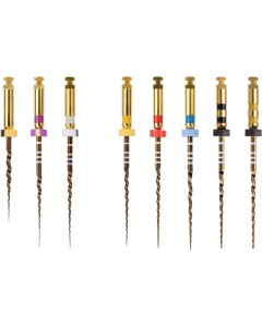 PROTAPER GOLD S2 21mm Pa 6