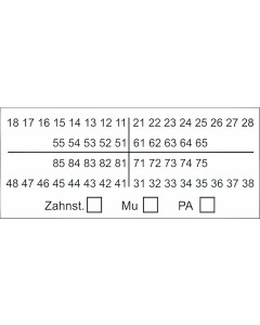 Stempel Zahnschema Z01 groß St