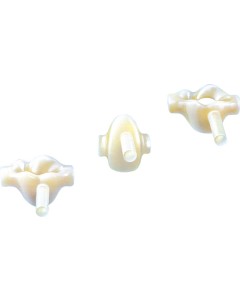 MK-Vario OK Molar H mittel rechts